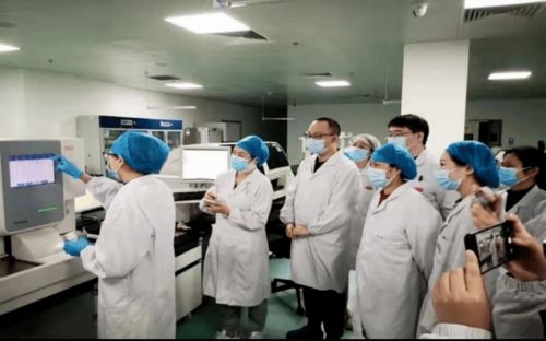 崗位大練兵 融合信息技術咨詢服務，全面優化醫療技術與服務水平